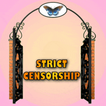 Censorship Strict Censorship GIF