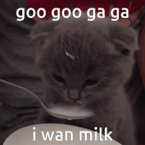 Kisebae Kisebaes GIF - Kisebae Kisebaes Kisekae GIFs