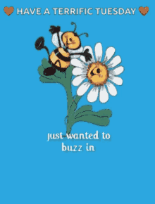 Tuesday Bee GIF - Tuesday Bee Flower GIFs