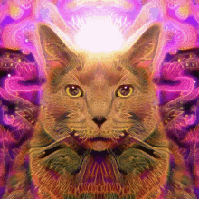 Psychedelic Catnip GIF - Psychedelic Catnip Electric Catnip GIFs