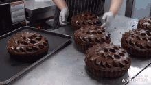 a bunch of chocolate cakes are on a tray with the words animatica on the bottom