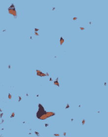 Butterfly Insects GIF - Butterfly Insects Bugs GIFs