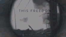 Vilna Eye GIF - Vilna Eye This Freedom GIFs