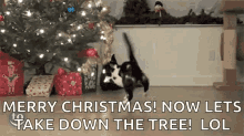 Cats Pull GIF - Cats Pull Christmas Lights GIFs