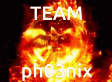 Phoenix Arrr Team GIF - Phoenix Arrr Team Discord GIFs