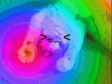 Oyoyoyoy Rainbow GIF - Oyoyoyoy Rainbow Rainbow Cat GIFs