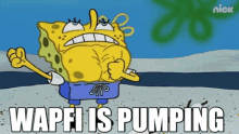 Wapfi Is Pumping GIF - Wapfi Is Pumping GIFs
