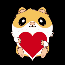 happyhamsters hamsters hamster heart love