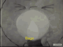 a black and white photo with the word bag on the bottom right