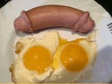 fried eggs and a sausage on a white plate with a fork