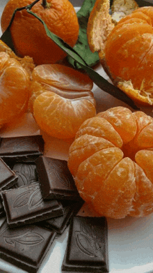 мандарины шоколад GIF