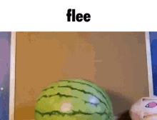 Flee GIF - Flee GIFs