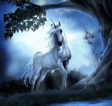 Fantasy Unicorn GIF - Fantasy Unicorn GIFs