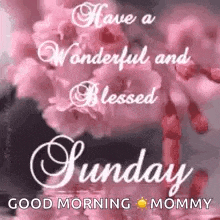 have a wonderful and blessed sunday good morning mommy with pink flowers in the background .