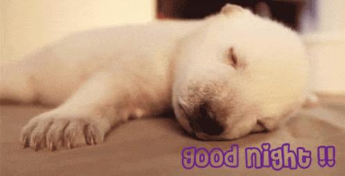Dog Good Night GIF - Dog Good Night Puppy - Discover & Share GIFs