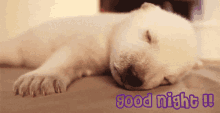 Dog Good Night GIF - Dog Good Night Puppy GIFs