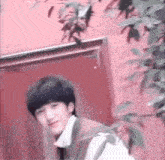 a young man is standing in front of a red wall with a tree in the foreground .
