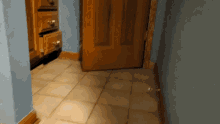 Jack Russell GIF - Jack Russell Terrier GIFs