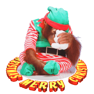 Funny Animals Funny Christmas Greetings Sticker - Funny Animals Funny Christmas Greetings Monkey Elf Stickers