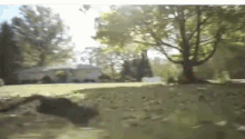 a blurred image of a house and trees in a yard