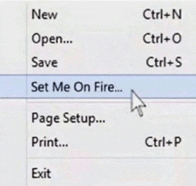 a computer screen shows a menu that says " set me on fire " at the top