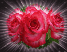 Flowers Roses GIF - Flowers Roses Sparkles GIFs