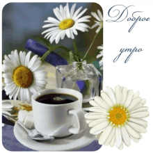 ninisjgufi coffee morning flowers %D0%B4%D0%BE%D0%B1%D1%80%D0%BE%D0%B5_%D1%83%D1%82%D1%80%D0%BE