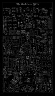 a black and white poster that says the embryonic rift