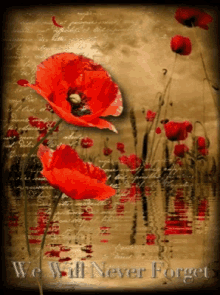 Sad We Will Never Forget GIF - Sad We Will Never Forget Poppies GIFs