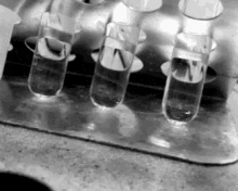science lab test tubes reverse