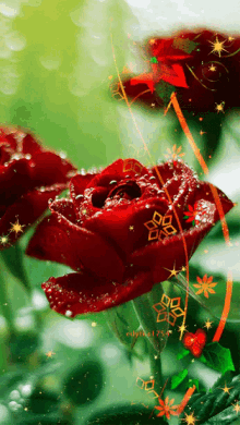 Roses Red Roses GIF - Roses Red Roses Glitter GIFs
