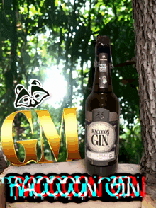 Raccoongin Raccoon Gin GIF - Raccoongin Raccoon Gin Raccoon Gin Gm GIFs