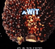 Sawit Fruits GIF - Sawit Fruits GIFs