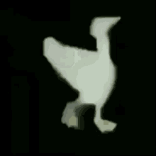 Duck Walking GIF