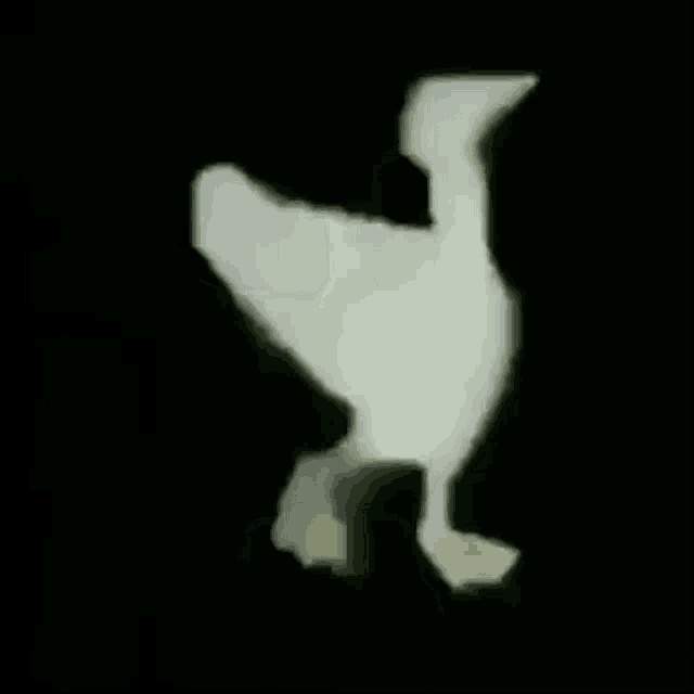 duck walk animated gif
