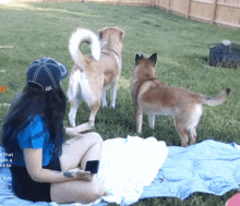 a woman is sitting on a blanket in the grass with two dogs behind her and the words above are visible