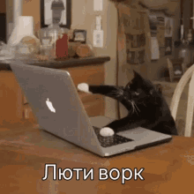 a black cat is using an apple laptop computer