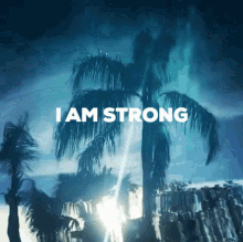 I Am Strong Strong GIF - I Am Strong Strong Powerful GIFs