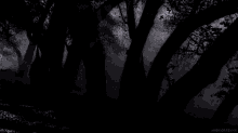 Secte GIF - Secte American Horror Story Dark GIFs