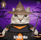 a cat wearing a witch costume and holding a broom with the words $ azu 1bn below it