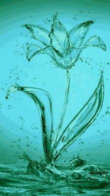 Flower Water GIF