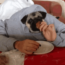 Lunch Pugs GIF - Lunch Pugs Dogs GIFs