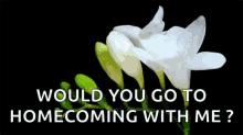 Blooming Flower GIF - Blooming Flower Would You Like To Go Homecoming GIFs
