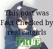 Catgirl True GIF - Catgirl True Fact Checked GIFs
