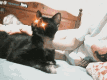 Black Cat Look GIF - Black Cat Look Shining Eyes GIFs