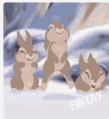 three bunny rabbits are standing on their hind legs in the snow .