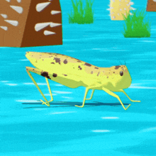 a cartoon grasshopper is walking in the water