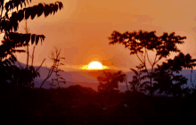 a sunset with trees in the foreground and the sun behind them