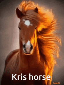 Kris Horse GIF - Kris Horse GIFs