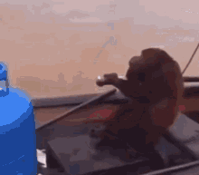 a monkey is standing next to a blue gas tank